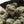 Load image into Gallery viewer, Hemp CBD Flower SMALLS