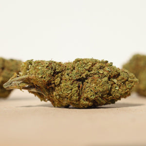 Close-up of Genesis CBG bud on a beige surface with a blurred background