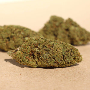 Close-up of green Genesis CBG buds on a beige background