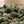 Load image into Gallery viewer, Kitchen Cooking Hemp Shake