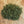 Load image into Gallery viewer, Kitchen Cooking Hemp Shake