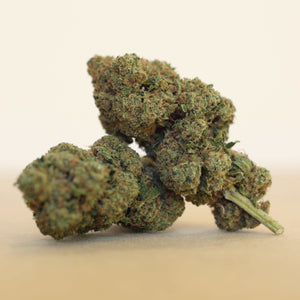 Close-up of a candy kush cbd bud on a beige background