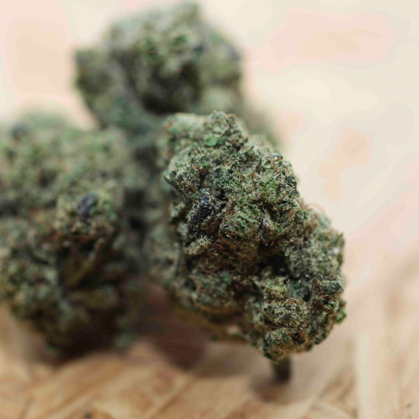 Little Hubba Bubba CBD - 21% CBD