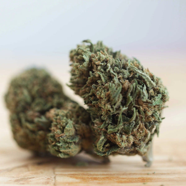 Happy Days CHOCOLOPE