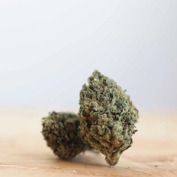 Happy Days CHOCOLOPE