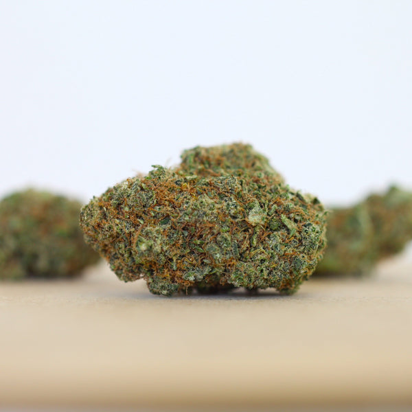 Little "Cali" Gelato CBD Bud