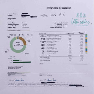 King's WIDOW Indoor - 19% CBD