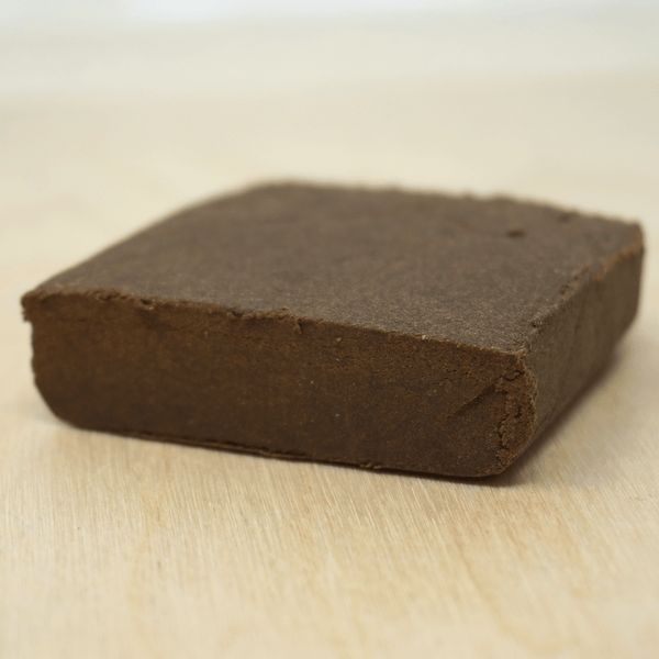 Close-up of premium OG Brown CBD hash from Little Collins