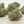 Load image into Gallery viewer, Trojan Dreamer CBD Hemp Flower/Bud