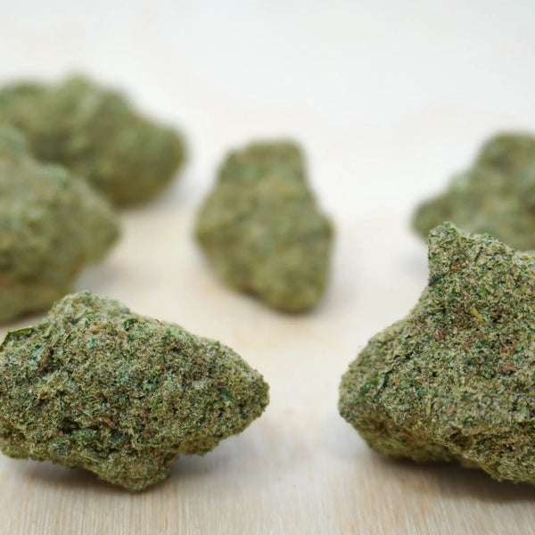 Trojan Dreamer CBD Hemp Flower/Bud