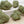 Load image into Gallery viewer, Trojan Dreamer CBD Hemp Flower/Bud