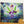 Load image into Gallery viewer, Walter the Wizard and the Magic Seed