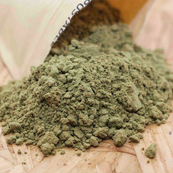 Hemp Protein Powder spilling from open eco bag by Little Collins, showcasing natural colour and texture.