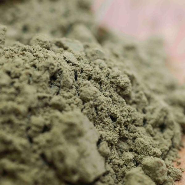 Close-up view of fine, natural hemp protein powder texture from Little Collins organic blend.