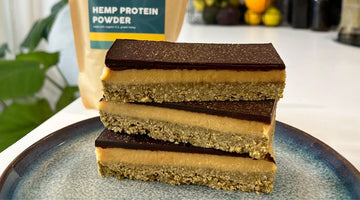 CBD Hempy Protein Slice
