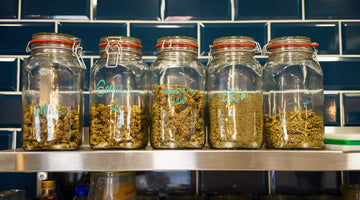 Jars of high-quality CBD flower buds displayed on a wooden counter, compliant with UK CBD law.