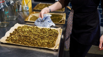 CBD Entourage effect