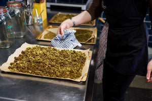 CBD Entourage effect