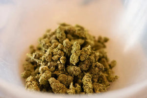 Close-up of CBD hemp buds in a transparent plastic bowl, showcasing high-quality CBD flower.