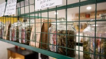 Jars of CBD buds, CBD tea, and wellness products on display — a visual representation of the natural benefits of CBD for relaxation, balance, and wellbeing.