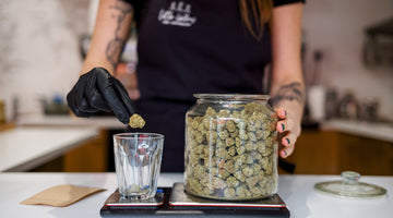 Yoga CBD wellbeing