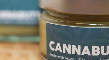 Up close photo of edible CBD cannabutter