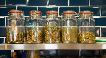 Jars of CBD Buds