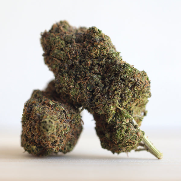 Mango Rambo CBD Flower