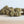 Load image into Gallery viewer, O'Galway KUSH
