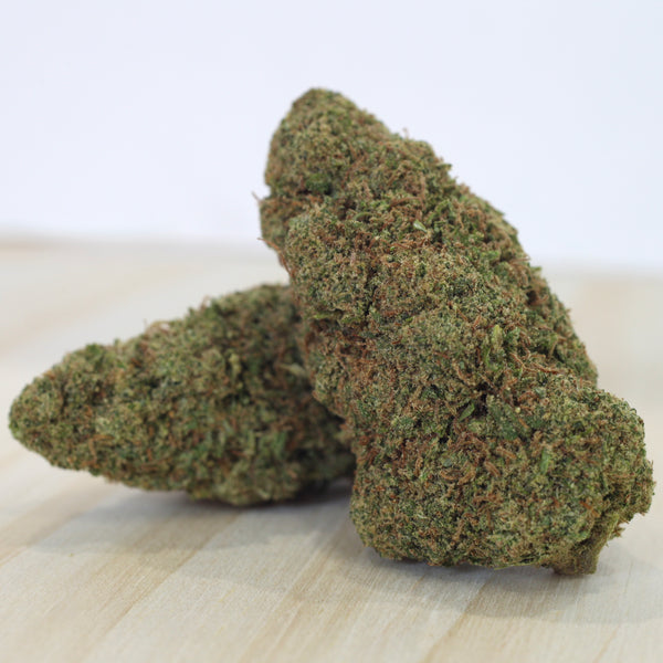 Summer of Love TANGIE