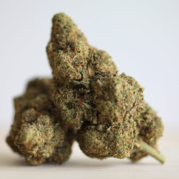 Little Lemon HAZE