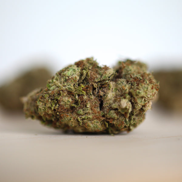 White Frost CBG Flower