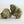 Load image into Gallery viewer, L.A. CHOCOLATE CBD Bud
