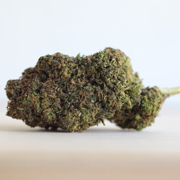 Mango Rambo CBD Flower