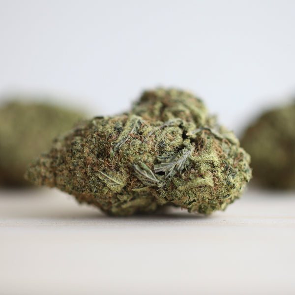 L.A. CHOCOLATE CBD Bud