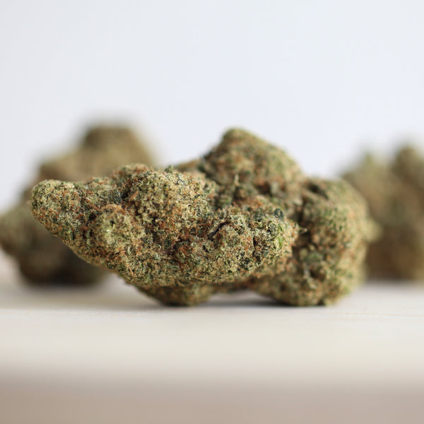 Little Lemon HAZE