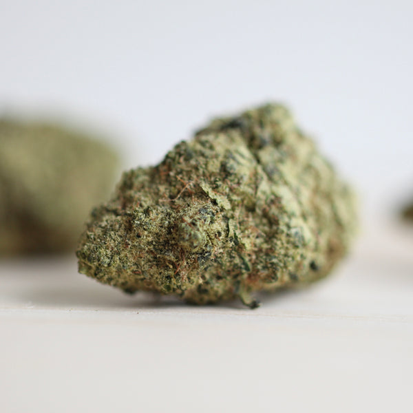 L.A. CHOCOLATE CBD Bud