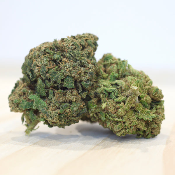 Port Douglas PINEAPPLE