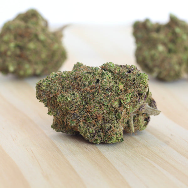 Little "Cali" Gelato CBD Bud