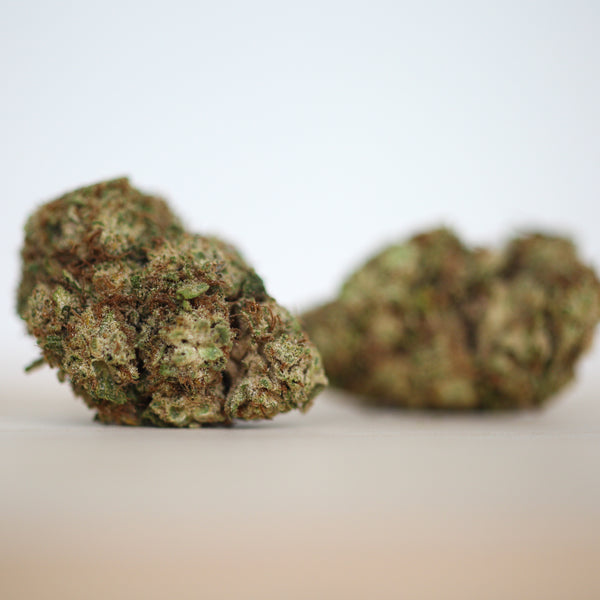 White Frost CBG Flower
