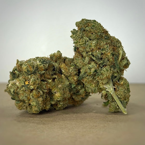 The Darlinghurst TROPFEST CBD Bud