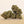 Load image into Gallery viewer, Close-up of candy kush buds on a beige background
