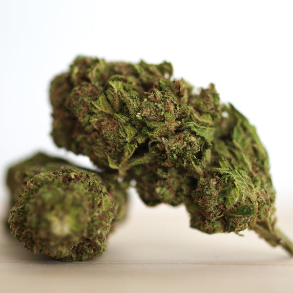 Grower's Selection - ONE MILLION