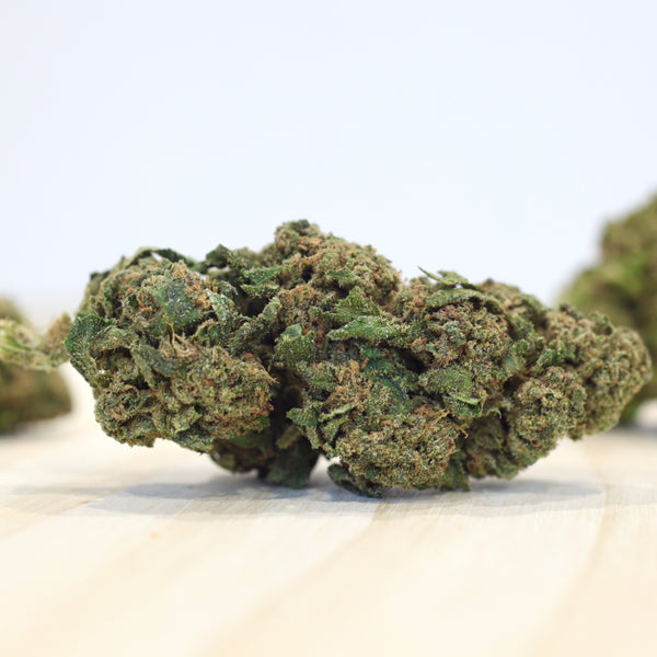 Port Douglas PINEAPPLE