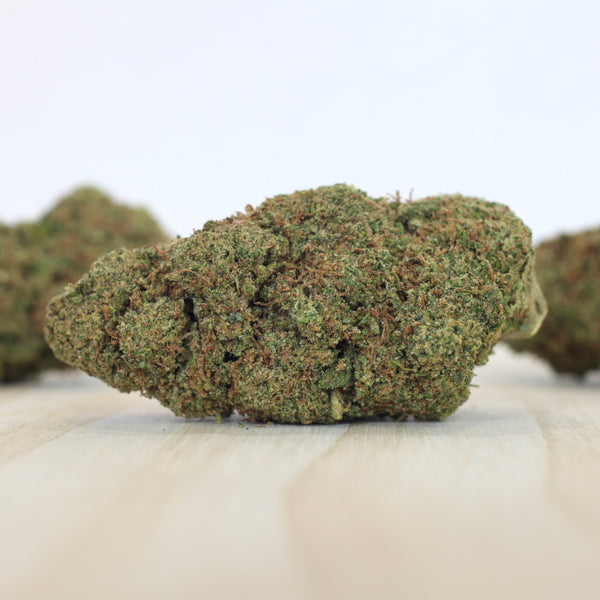 Summer of Love TANGIE