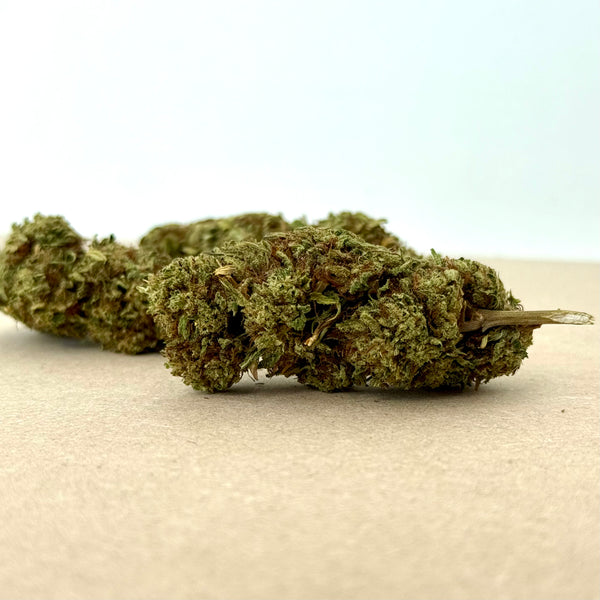 Mission Beach Mango