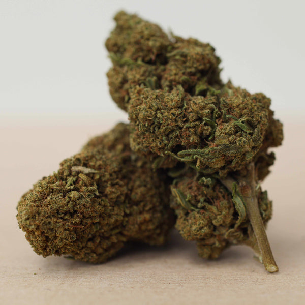 Little "Cali" Gelato CBD Bud