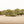 Load image into Gallery viewer, Grower&#39;s Selection - TANGIE

