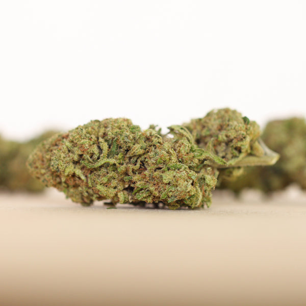 Grower's Selection - TANGIE