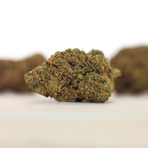 Cali SKUNK